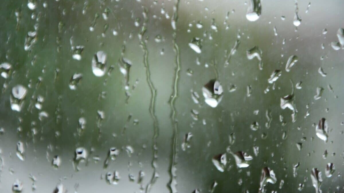 Album – météo