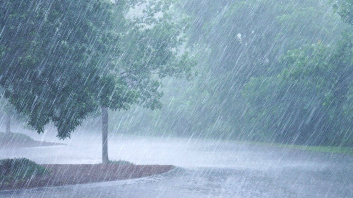 Météo : retour de la pluie et du vent ce mercredi sur une grande partie du pays
