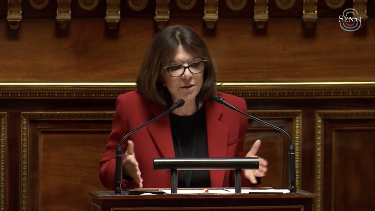 « France passoire » : Nathalie Goulet veut une commission d’enquête sur les cyberattaques qui frappent le pays