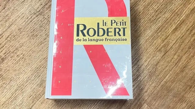 « Banger », « fast-fashion », « manosphère »… Les nouveaux mots qui entrent dans le Petit Robert 2027