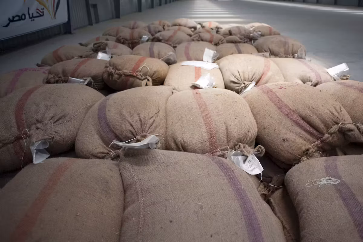 L’Égypte veut devenir un géant mondial du commerce des céréales avec l’aide de la Russie