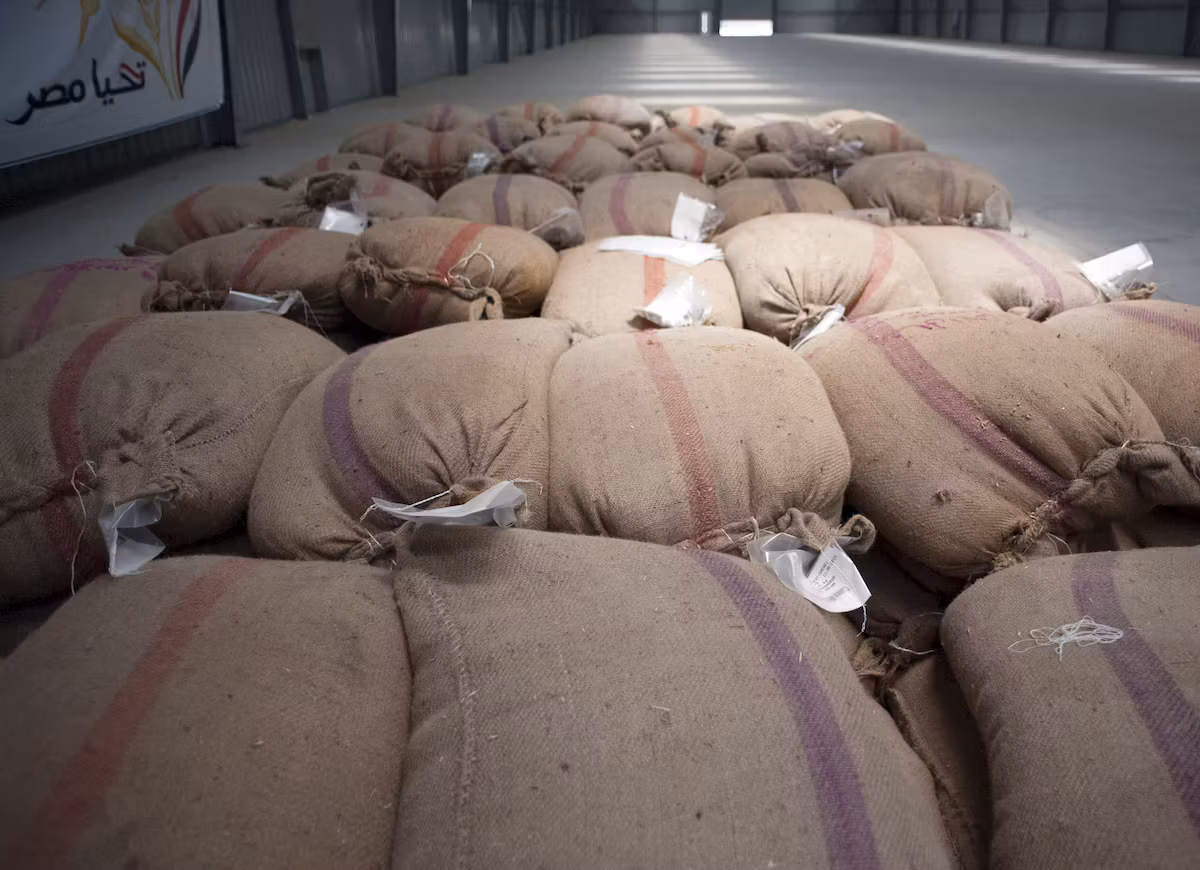 Egypt wants to become a global giant in the grain trade with the help of Russia.