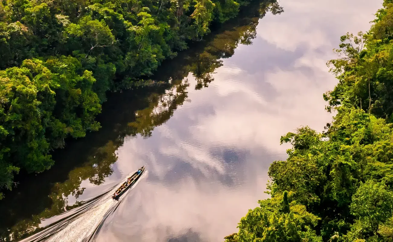 La Guyane dans le top 5 mondial du City Nature Challenge, 3 819 espèces en quatre jours