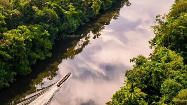 La Guyane dans le top 5 mondial du City Nature Challenge, 3 819 espèces en quatre jours