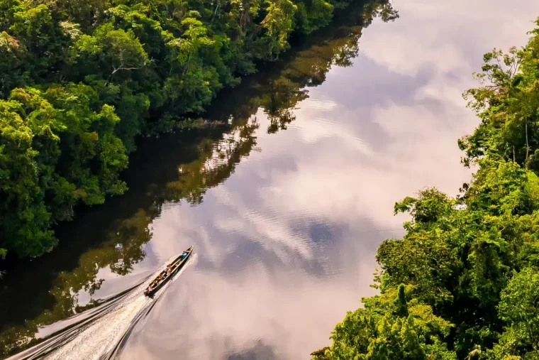 La Guyane dans le top 5 mondial du City Nature Challenge, 3 819 espèces en quatre jours