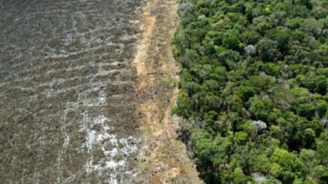 La déforestation recule fortement en Amazonie brésilienne, au plus bas depuis 2019