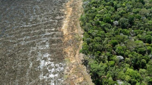 La déforestation recule fortement en Amazonie brésilienne, au plus bas depuis 2019
