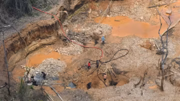 La justice rejette un recours contre l’État sur l’orpaillage illégal en Guyane