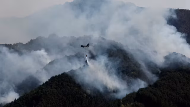La planète en feu : les incendies atteignent des records historiques avant des chaleurs “sans précédent” — photo