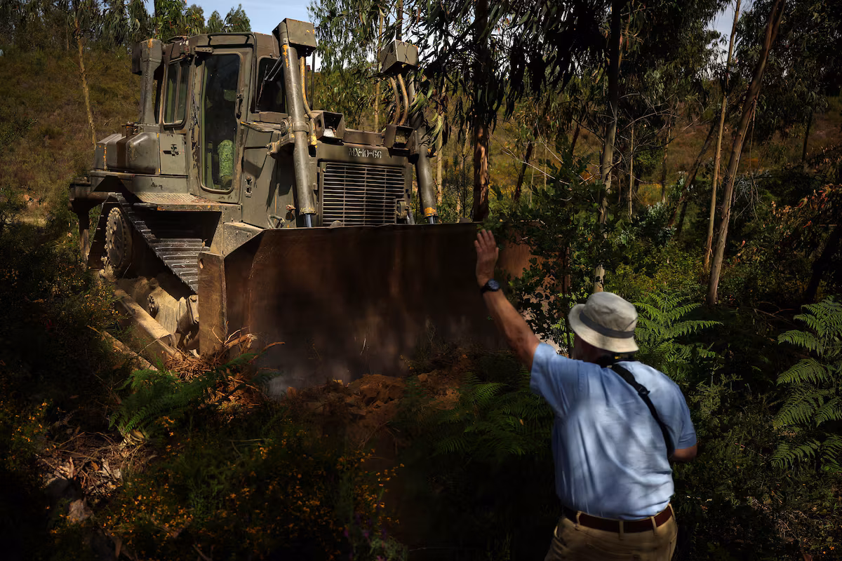 Portugal is working to clear debris left by storms before the forest fire season.