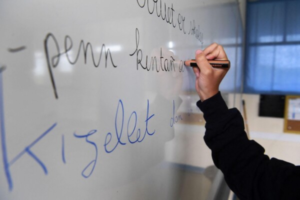 Le baccalauréat pourra intégrer les langues régionales dans certaines spécialités dès 2028