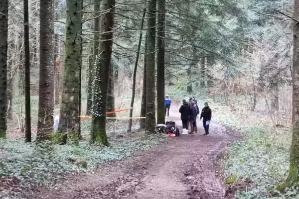 Le corps calciné d’une femme découvert dans une forêt près de Marseille
