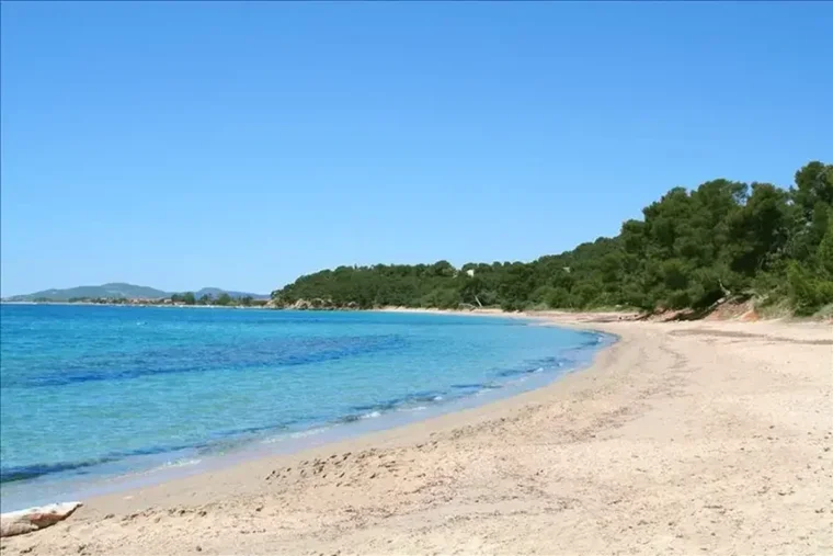 Près de 2 000 plages passées au crible : où l'eau est vraiment bonne à la baignade