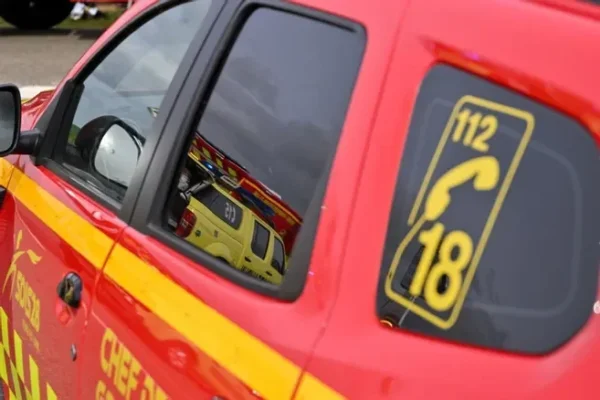 Un adolescent de 17 ans meurt noyé dans la Marne en Seine-et-Marne