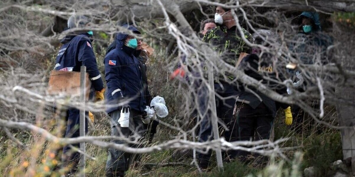 Une vaste opération de capture de rongeurs lancée à Ushuaïa après l’alerte hantavirus