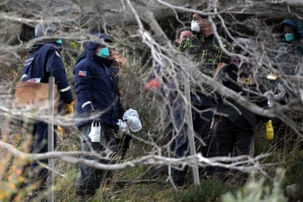 Une vaste opération de capture de rongeurs lancée à Ushuaïa après l’alerte hantavirus