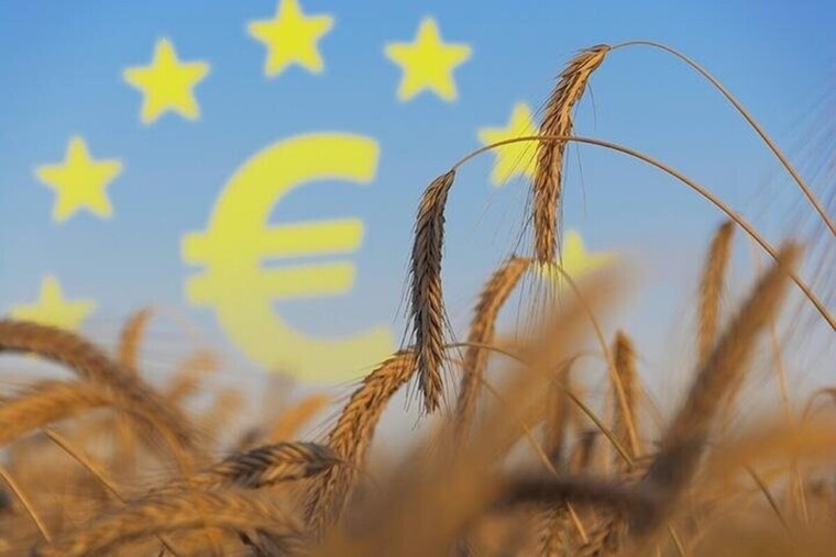 L'Union européenne débloque des aides pour faire face à la hausse des engrais