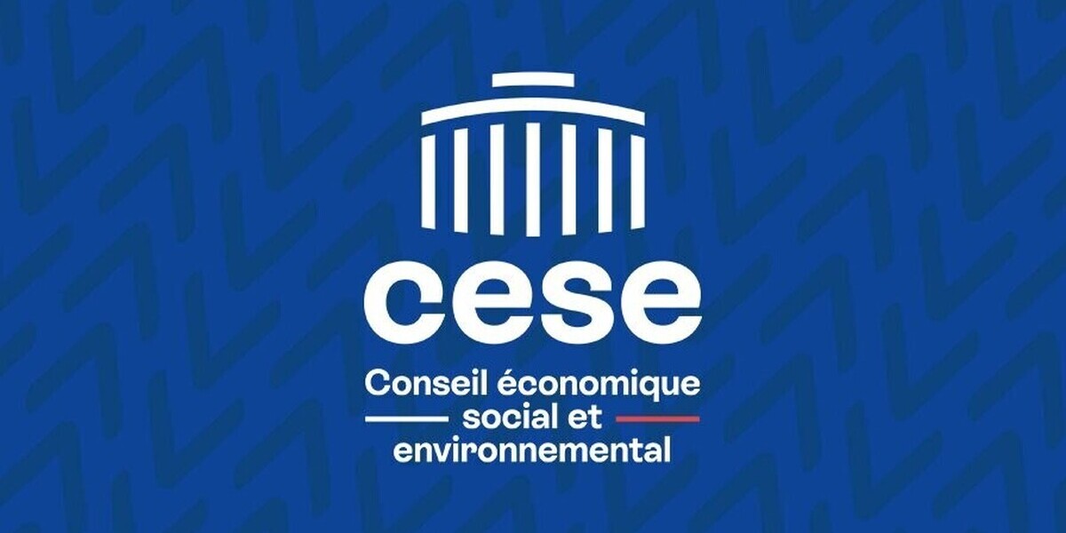 Le Cese choisit mercredi sa première présidente, entre patronat et monde associatif