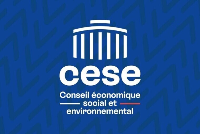 Le Cese choisit mercredi sa première présidente, entre patronat et monde associatif