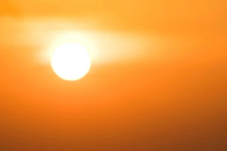 Canicule : la France au bord de tous les records avec jusqu’à 42°C attendus à Paris