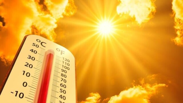 Canicule : jusqu’à 40°C ce dimanche, des records de chaleur menacent la France Canicule : jusqu’à 40°C ce dimanche, des records de chaleur menacent la France