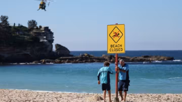 Après une violente attaque de requin, l’Australie envisage d’assouplir les règles sur les drones de surveillance
