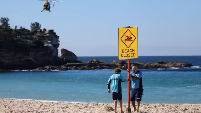 Après une violente attaque de requin, l’Australie envisage d’assouplir les règles sur les drones de surveillance — photo