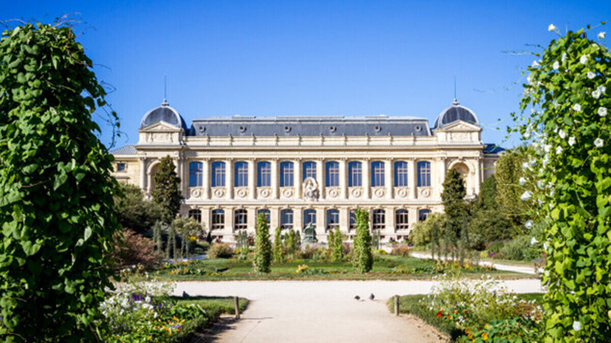 Biodiversité : le Muséum d’histoire naturelle et le CNRS lancent un vaste programme de recherche à 45 millions d’euros