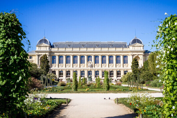 Biodiversité : le Muséum d’histoire naturelle et le CNRS lancent un vaste programme de recherche à 45 millions d’euros