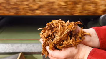 British American Tobacco annonce 9 000 suppressions de postes dans une vaste restructuration mondiale