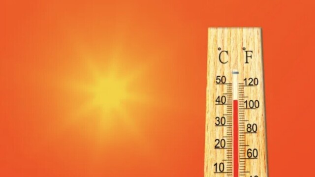Canicule : jusqu’à 40°C ce samedi, la France reste sous une chaleur étouffante Canicule : jusqu’à 40°C ce samedi, la France reste sous une chaleur étouffante