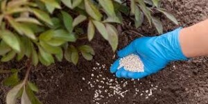 Engrais : les ministres de l’Agriculture du G7 réunis à Paris face aux risques de pénurie mondiale