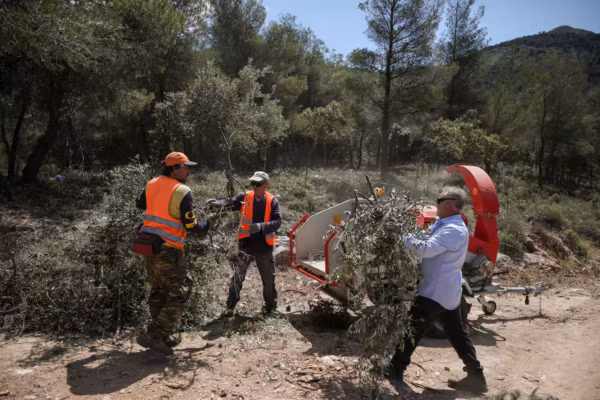 Grèce : la lutte contre les incendies de forêt fragilisée par des décennies de coupes budgétaires
