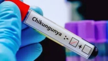 Guyane : une campagne de vaccination lancée face à la progression du chikungunya