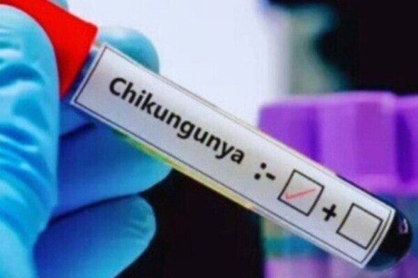 Guyane : une campagne de vaccination lancée face à la progression du chikungunya