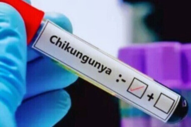 Guyane : une campagne de vaccination lancée face à la progression du chikungunya