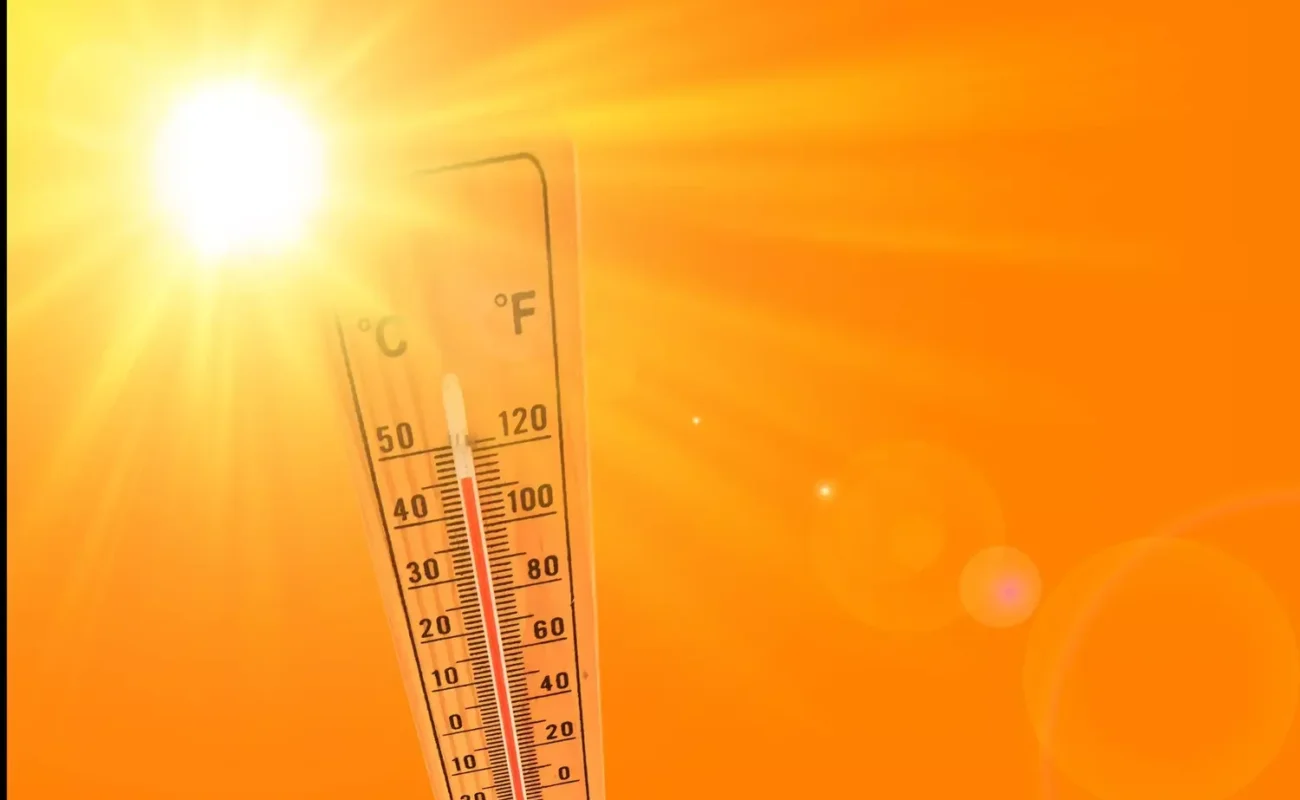 Canicule : l’ouest commence à respirer, l’est de la France atteint son pic de chaleur