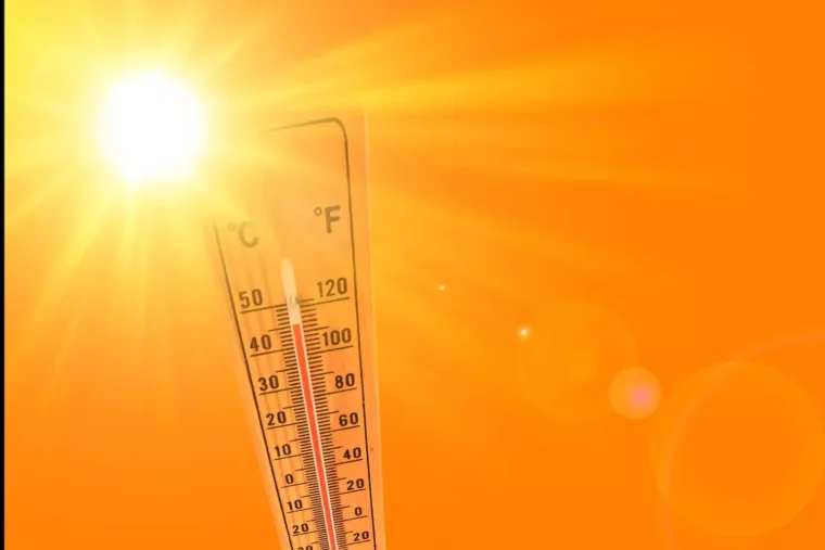 Canicule : l’ouest commence à respirer, l’est de la France atteint son pic de chaleur