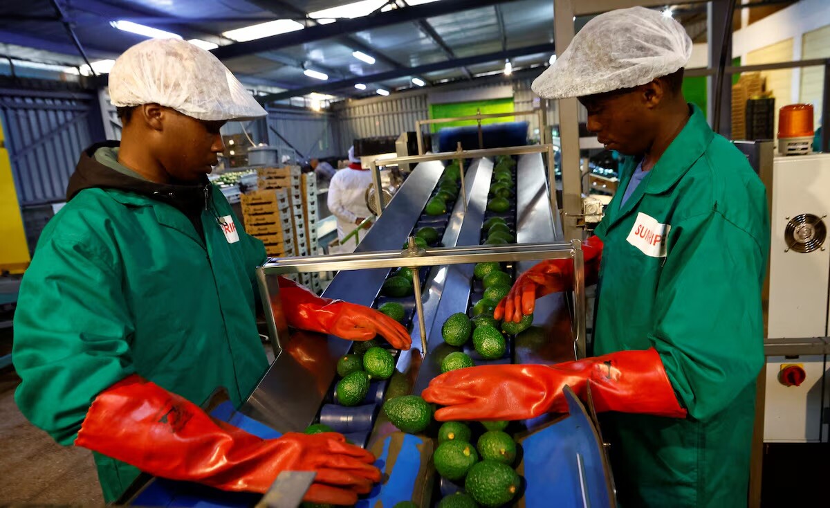 China is accelerating the rise of the yuan in Africa by removing tariffs