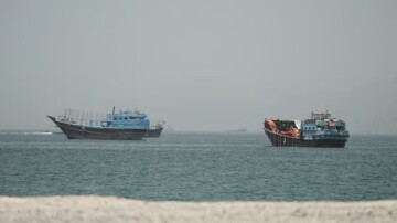 IMG_6017