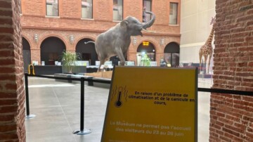 Canicule : le Muséum de Toulouse contraint de fermer en urgence