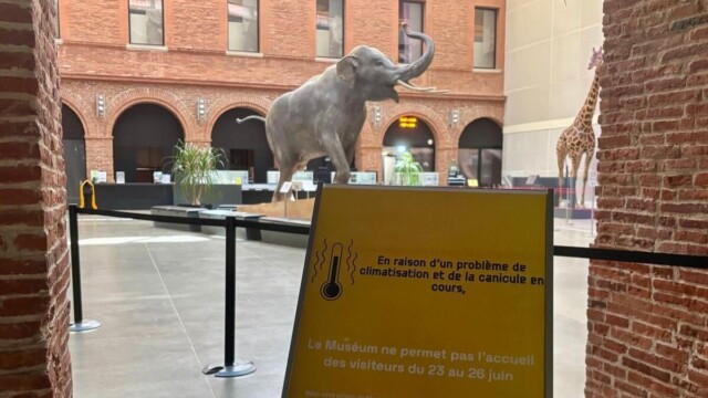 Canicule : le Muséum de Toulouse contraint de fermer en urgence