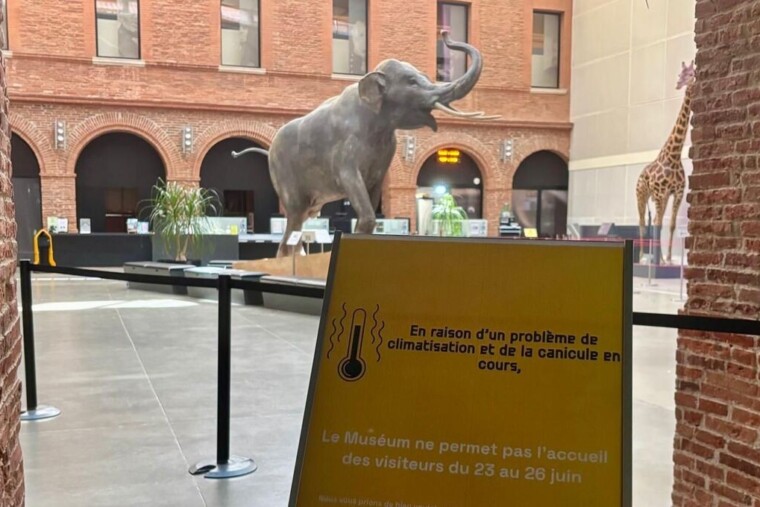 Canicule : le Muséum de Toulouse contraint de fermer en urgence