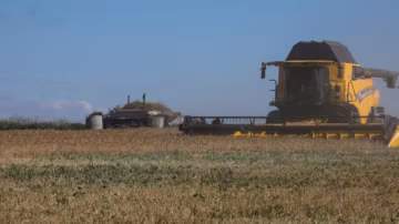 Les frappes russes menacent les exportations agricoles ukrainiennes : un tiers des volumes pourrait disparaître
