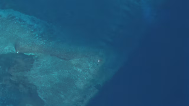 Mystère en mer de Chine méridionale : une étrange structure apparaît puis disparaît sur un atoll hautement disputé — photo