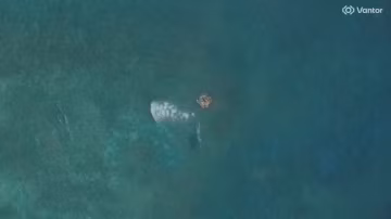 Nouvelle tension en mer de Chine méridionale : Manille proteste contre une mystérieuse structure flottante chinoise