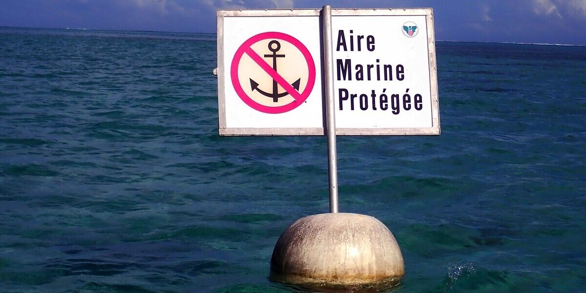 Océans : la France annonce trois nouvelles aires marines protégées et renforce sa lutte contre la pollution plastique