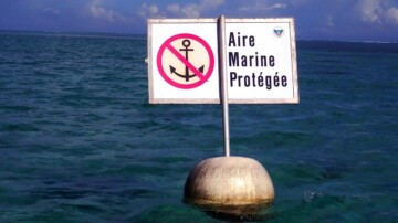 Océans : la France annonce trois nouvelles aires marines protégées et renforce sa lutte contre la pollution plastique