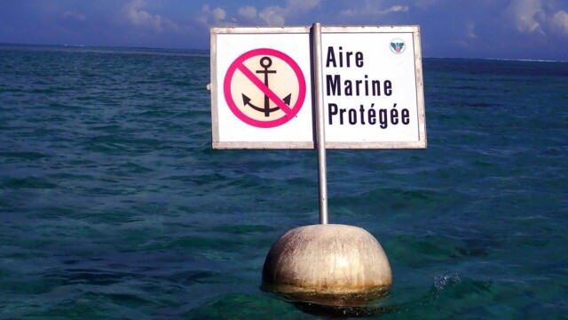 Océans : la France annonce trois nouvelles aires marines protégées et renforce sa lutte contre la pollution plastique