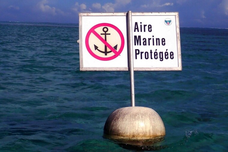 Océans : la France annonce trois nouvelles aires marines protégées et renforce sa lutte contre la pollution plastique